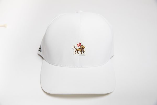 Performance Cap