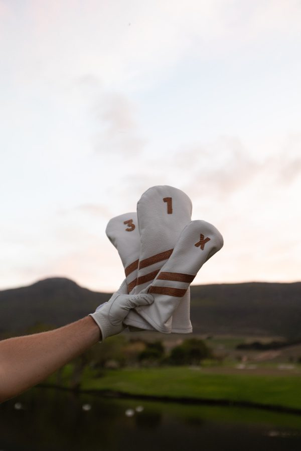White and Brown - Image 4
